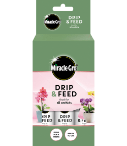Miracle-Gro® Drip &amp; Feed Orchid
