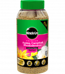 Miracle-Gro® Premium Azalea, Camellia &amp; Rhododendron Continuous Release Plant Food
