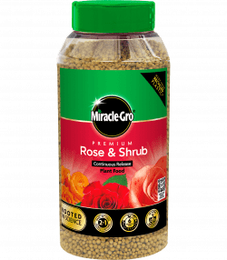 Miracle-Gro® Premium Rose &amp; Shrub Continuous Release Plant Food
