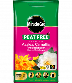 Miracle-Gro® Peat Free Premium Azalea, Camellia &amp; Rhododendron Ericaceous Compost

