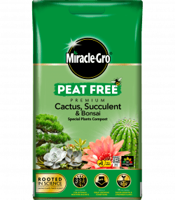Miracle-Gro® Peat Free Premium Cactus &amp; Bonsai Compost
