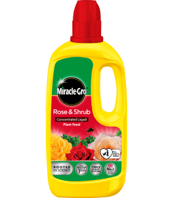 Miracle-Gro® Rose &amp; Shrub Concentrated Liquid Plant Food
