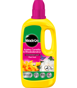 Miracle-Gro® Azalea, Camellia &amp; Rhododendron Concentrated Liquid Plant Food
