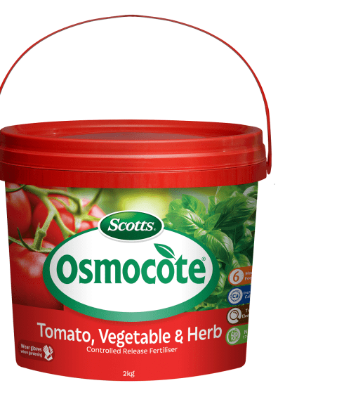 Scotts Osmocote® Controlled Release Fertiliser Tomato, Vegetable & Herb, 2KG Love The Garden