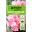 Levington® Essentials Peat Free Multi Purpose Compost main image