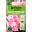 Levington® Essentials Peat Free Multi Purpose Compost main image