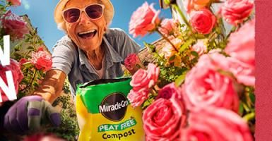 Have yourself a Gro-ment with Miracle-Gro for houseplants