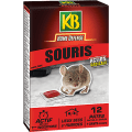 FR_SOURIPAT_KB_PS.png