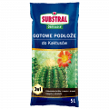 PL_1115101_SUB_PS_1.png