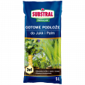 PL_1116101_SUB_PS_1.png