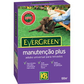 KB Adubo Evergreen Manutenção plus main image