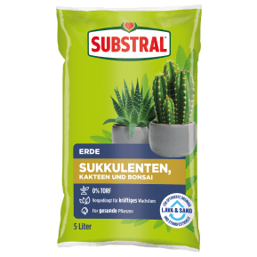 Substral® Erde Sukkulenten, Kakteen und Bonsai 5 L main image