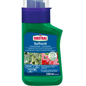 Substral® Sulfucid fongicide rosiers et plantes d'ornement main image
