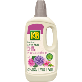 KB Piante acidofile main image