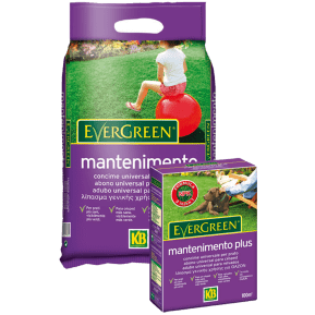Adubo Evergreen mantenimento main image