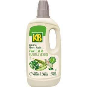 KB Piante verdi main image