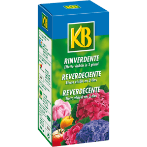 KB Reverdecente com ferro main image