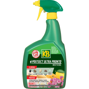 KB Inseticida polysect ultra pronto polivalente main image
