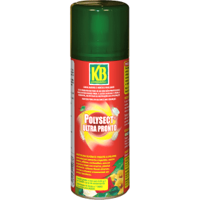 KB Inseticida polysect ultra pronto pump & spray main image