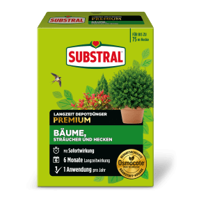 SUBSTRAL® Langzeit Depotdünger für Buchs & Hecken main image