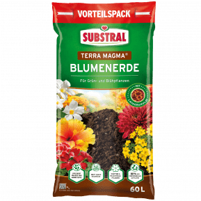 SUBSTRAL® Terra Magma® Blumenerde mit Lavagranulat main image