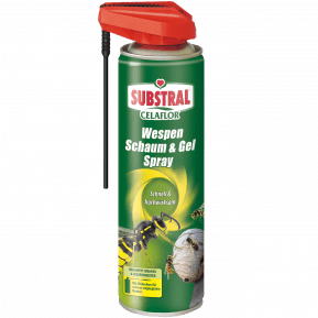 SUBSTRAL® Celaflor® Wespen Schaum & Gel Spray main image