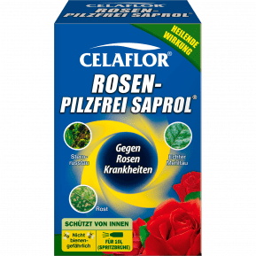 Celaflor® Rosen-Pilzfrei Saprol Konzentrat main image