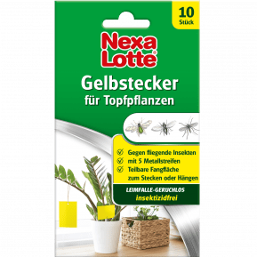 Nexa Lotte® Gelbstecker main image
