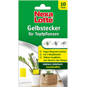 Nexa Lotte® Gelbstecker main image