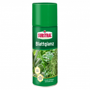 SUBSTRAL® Blattglanz main image