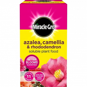 Miracle-Gro® Azalea, Camellia & Rhododendron Soluble Plant Food main image