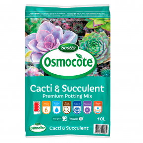 Scotts Osmocote® Cacti & Succulent Mix  main image