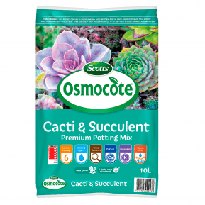 Scotts Osmocote® Cacti & Succulent Mix main image