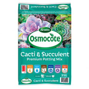 Scotts Osmocote® Cacti & Succulent Potting Mix  main image