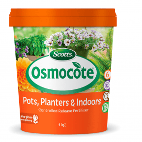 Scotts Osmocote Controlled Release Fertiliser for Pots and Planters main image