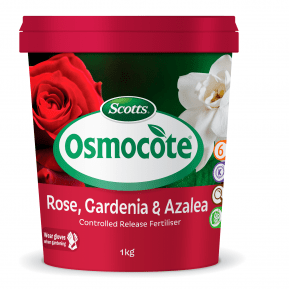 Scotts Osmocote® Controlled Release Fertiliser: Roses, Gardenias, Azaleas & Camellias main image