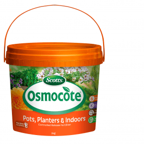 Osmocote Mini Slow Release Fertiliser 6 Month Small Pot Plug Food Complete  Feed