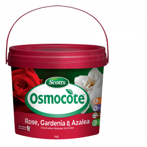 Scotts Osmocote® Controlled Release Fertiliser: Roses, Gardenias, Azaleas & Camellias main image