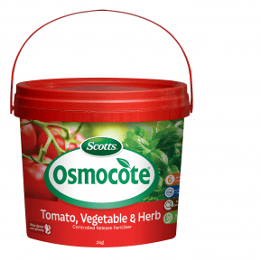 Scotts Osmocote® Controlled Release Fertiliser: Tomato, Vegetable & Herb main image