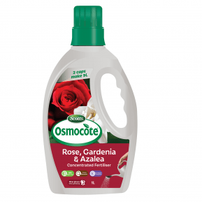 Scotts Osmocote® Boost+Feed Roses, Gardenias, Azaleas & Camellias main image
