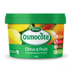 Scotts Osmocote® Controlled Release Fertiliser: Citrus & Fruit main image
