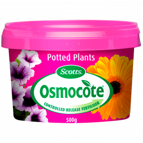 Scotts Osmocote® Controlled Release Fertiliser: Potted Plants  main image