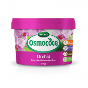 Scotts Osmocote® Controlled Release Fertiliser: Orchid main image