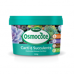 Scotts Osmocote® Controlled Release Fertiliser: Cacti & Succulent main image