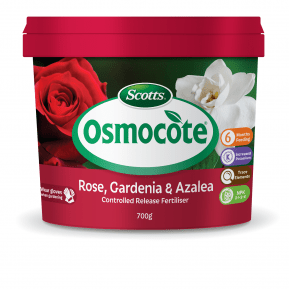 Scotts Osmocote® Controlled Release Fertiliser: Roses, Gardenias, Azaleas & Camellias main image