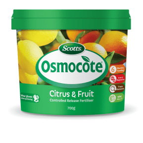 Scotts Osmocote® Controlled Release Fertiliser: Citrus & Fruit main image