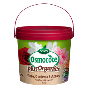 Scotts Osmocote® Plus Organics Roses, Gardenias & Azaleas Plant Food & Soil Improver main image