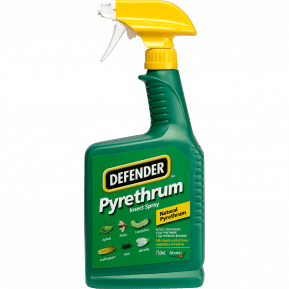Defender™ Pyrethrum Insect Spray main image