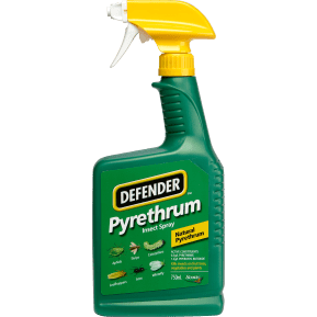 Defender™ Pyrethrum Insect Spray main image