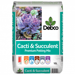 Debco® Cacti & Succulent Potting Mix main image